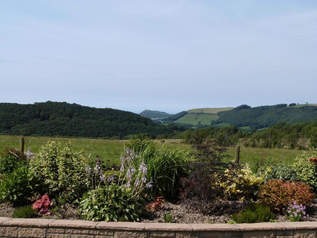 Aberystwyth Enlli Cottage Екстер'єр фото